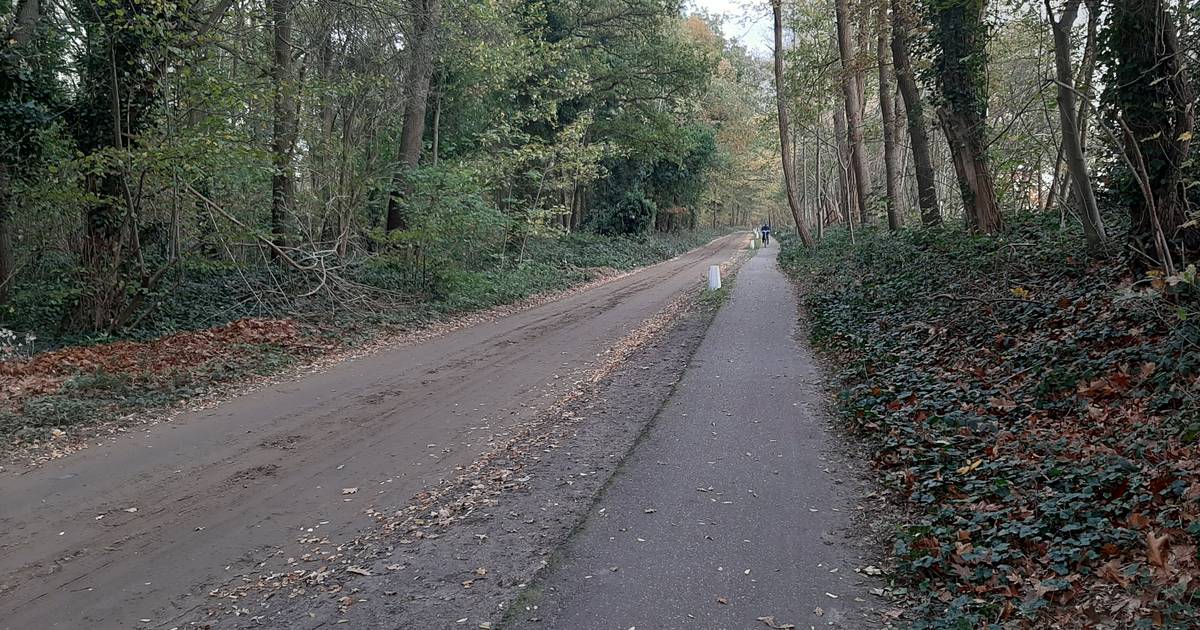 Mysterie meisje van Teteringen: opvallende gelijkenis met Duitse tienermoord
