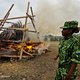 Gabon verbrandt ivoor