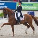 Nederlandse Cornelissen wint goud in Grand Prix spécial op EK dressuur