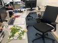 De bloemen op het bureau