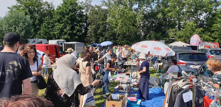 Rommelmarkt oostkamp vandaag