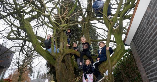 Geen 28 maar 23 appartementen bij oude gemeentehuis in Beek? - De Gelderlander