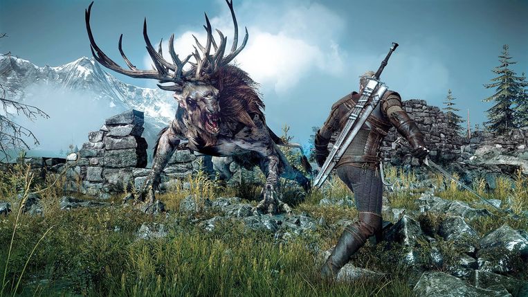 The Witcher Wild Hunt Beeld Humo