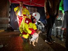 La solidarité s’organise aussi pour venir en aide aux animaux: “Des citoyens en détresse ont dû les abandonner”