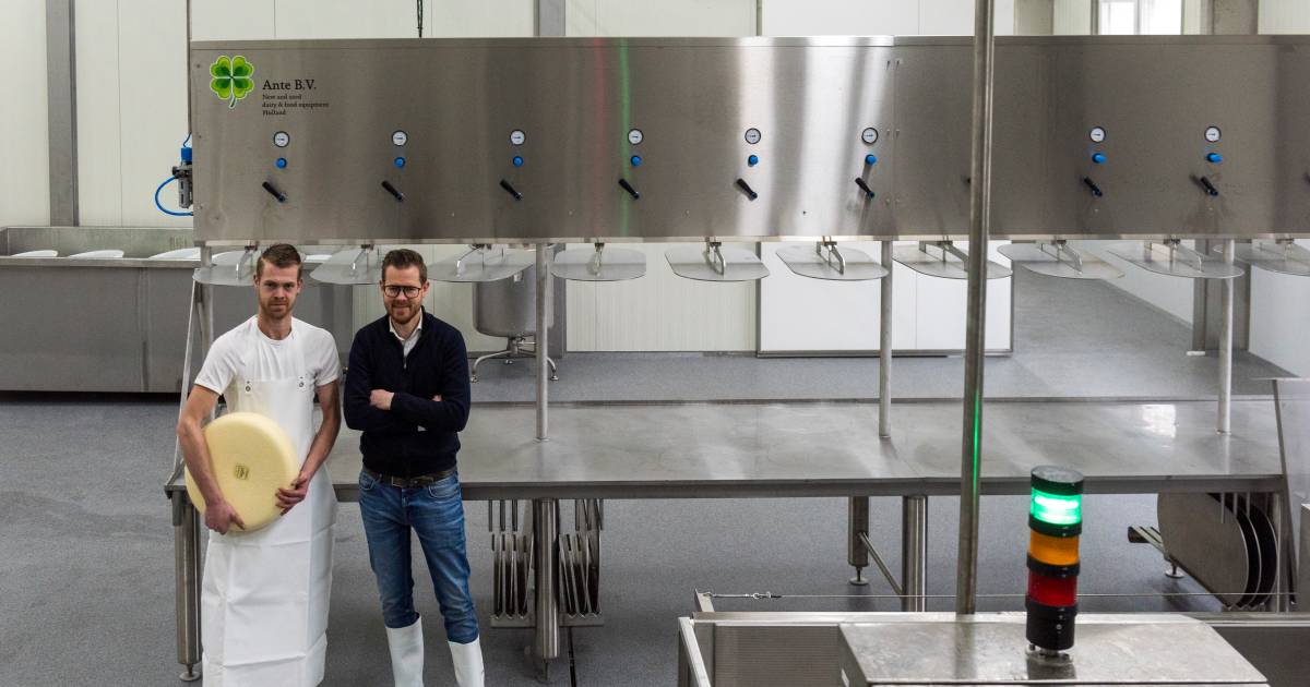 Nieuwerwets uit Knegsel: koeienboer Wilco stapt in de innovatieve kaasmakerij (met laboratorium)