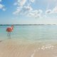 7 redenen waarom je dit najaar naar Aruba wil