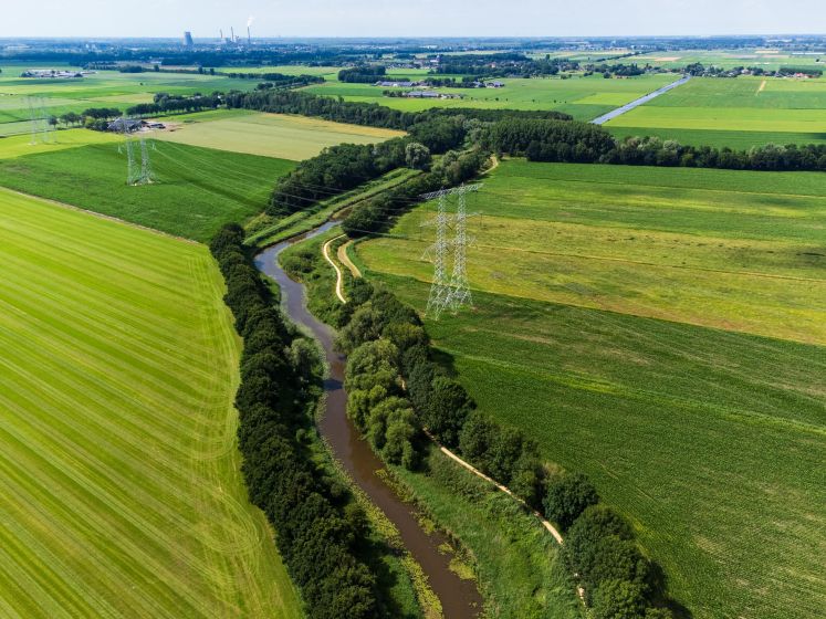 Aan de ene oever van deze rivier heet een kikker een puit, aan de andere kant een kikvors: dat zit zo