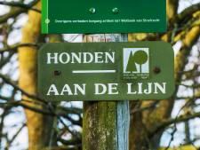Ook in Hilvarenbeek moeten honden ergens los kunnen lopen, vindt de gemeenteraad