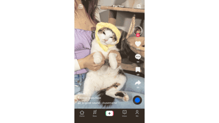 De nieuwe TikToktool Beeld TikTok