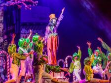 Brabants Muziek Theater schrapt jeugdmusical om corona, ‘Noodzakelijk om te overleven’