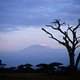 Prachtige beelden van de Kilimanjaro
