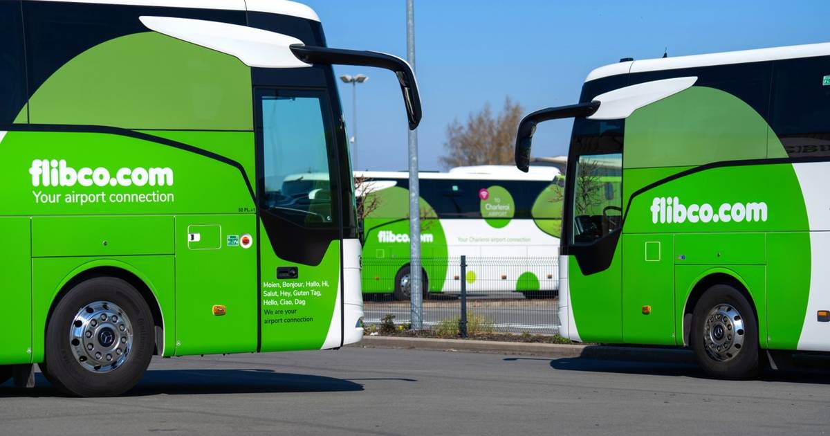 Una compagnia privata offre per la prima volta tour completi in autobus nelle Fiandre |  l’interno