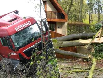 Van omgewaaide bomen tot auto-ongevallen: op deze plekken in Vlaanderen bracht de storm schade met zich mee