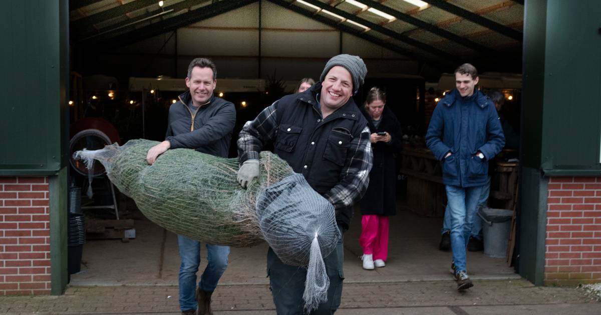 Kerstboomkweker Gerard (38) weet precies wat mensen met kerst willen