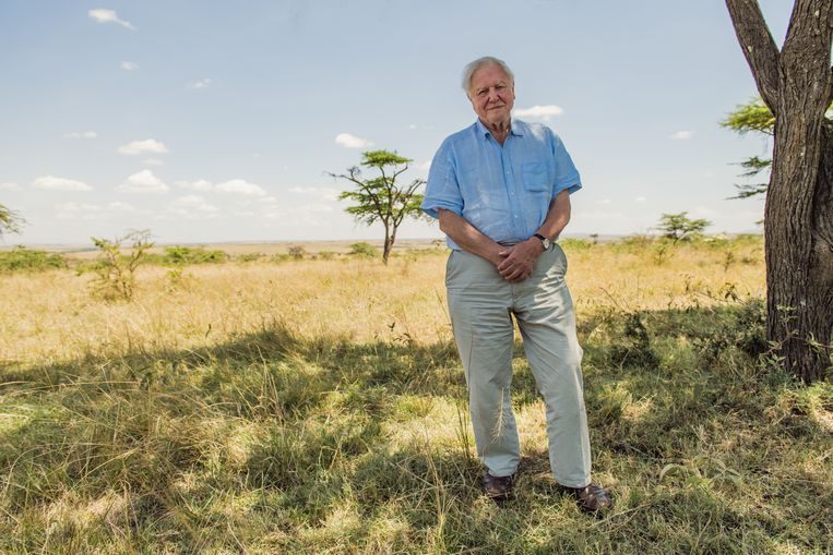 David Attenborough: A Life on Our Planet is een hoopgevende film, maar  voelt ook als een laatste waarschuwing
