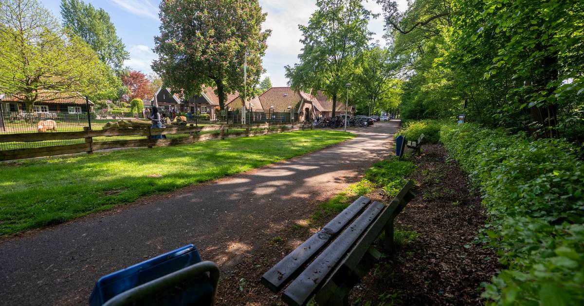 Drinkende Almelose hangouderen sarren medewerkers en bezoekers van ...