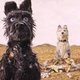 De Nieuwe Oogst: Isle of Dogs, La clemenza di Tito, A Man of Integrity