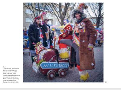“Maar wél twee bladzijden over het Ros Beiaard!?”: Aalst kan er niet bij dat carnaval slechts voetnoot is in Vlaamse Canon