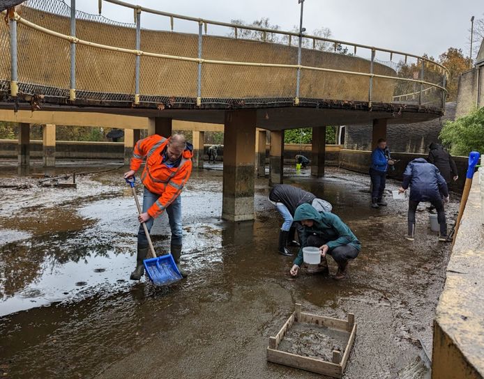 Vrijwilligers scheppen het muntgeld op dat bezoekers in een waterattractie in Hellendoorn hebben gegooid.