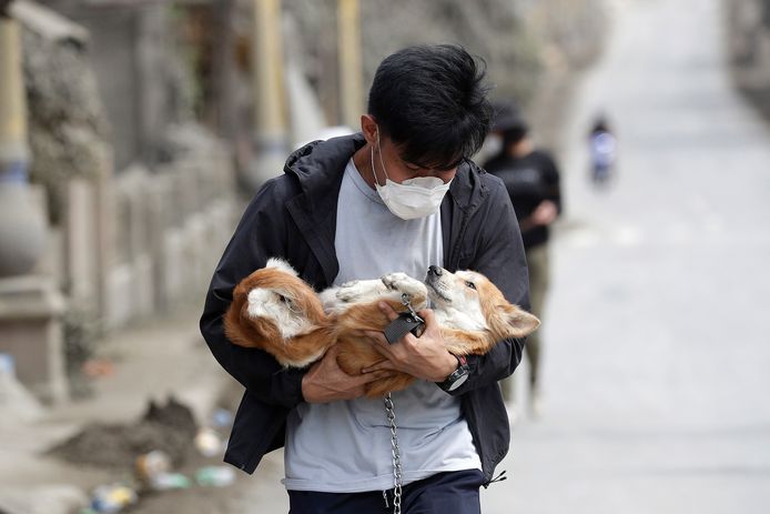 Een vrijwilliger draagt een hondje op zijn arm.