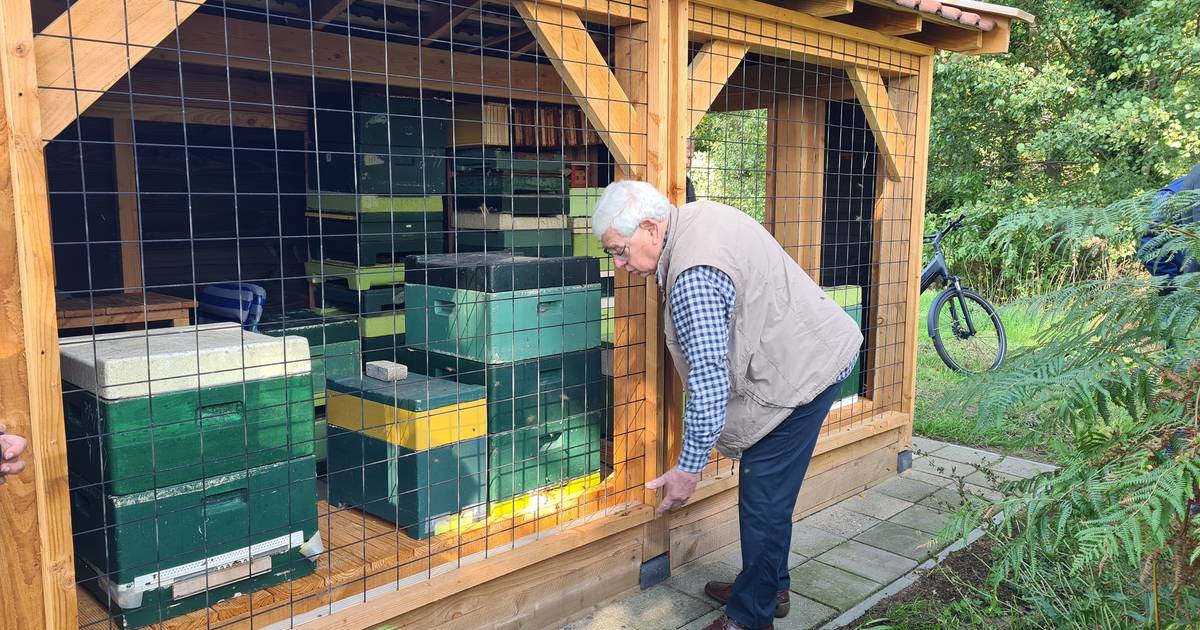 Zes bijenvolken zoemen over een Deldense begraafplaats: 'Dit is een perfecte omgeving' - Tubantia