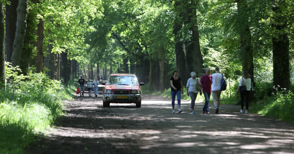 Tjonge, dat zal in #capelleaandenijssel niet gauw gebeuren.