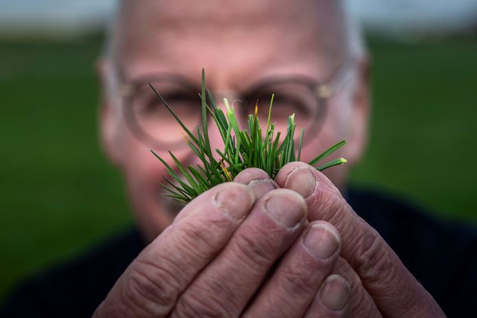 Van alle eiwitten in het gras dat koeien vreten, verzeilt een kwart in de melk. Vers gras verwerken via bioraffinage levert maakt veel meer eiwiten beschikbaar. Voor veevoer, of zelfs voor menselijke consumptie.