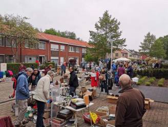 Rommelmarkt in Bomenwijk van Kapellen beleeft 12de editie 