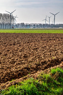 De Oranjepolder bij Oosterhout met op de achtergrond de windmolens die op industrieterrein Weststad staan.