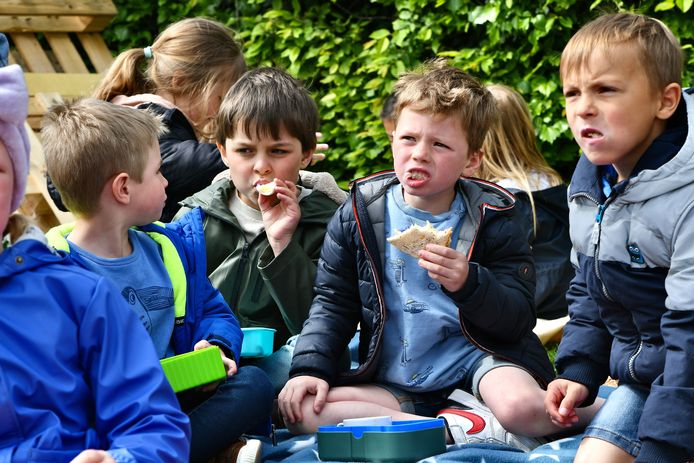 Superfood voor jonge helden in SBS De Octopus.