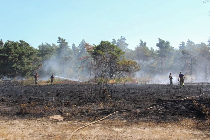 Brandweerlieden blussen na bij een natuurbrand in een natuurgebied bij het Nederlandse Schijf, vlak over de grens met België. Archiefbeeld.
