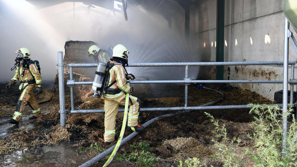 null Beeld Vertommen