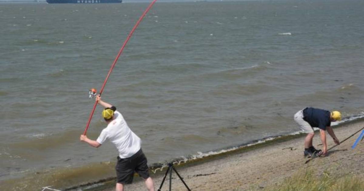 Hengelaars vangen mooie zeebaarzen