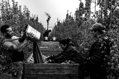 Fotograaf Stan van der Sluis uit Vorstenbosch wint prijs met serie over Roemeense seizoensarbeiders