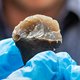 Hobbyist vindt ‘aardappelschilmesje’ van neanderthaler op strand bij Ter Heijde