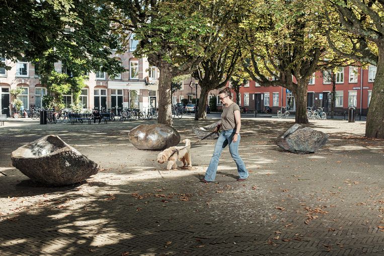 De nieuwe stadsboom komt vaak uit het buitenland