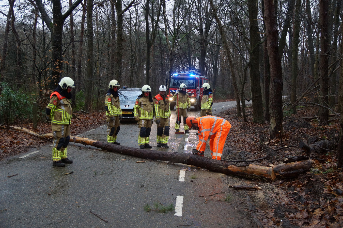 Storm Bella laat bomen knakken als luciferhoutjes en voor schade in Brabant Foto bd.nl