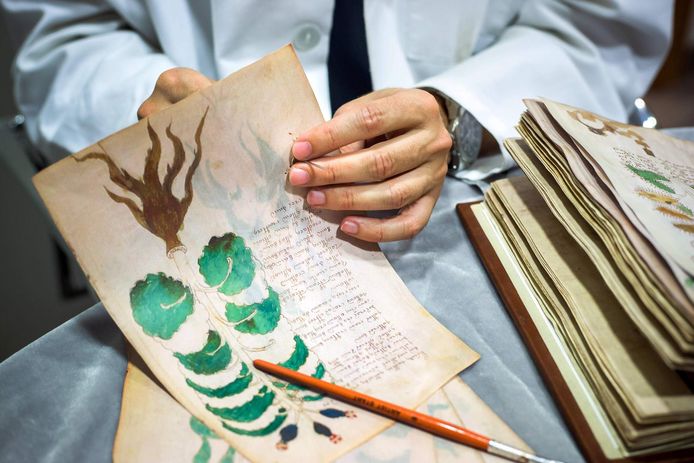 Het Voynich Manuscript is een bundel van 240 pagina’s, gevuld met een handgeschreven tekst, tekeningen van onbekende planten en ingewikkelde symbolen. De tekst is zo’n 500 jaar oud - dat staat vast - maar wat erin staat, weet niemand.