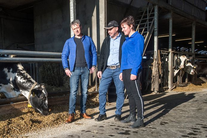 Melkveeboeren René Vermunt en Erik en Lisette van Oosterhout schrijven vanaf volgende week om beurten de column ‘Boerenpraat’.