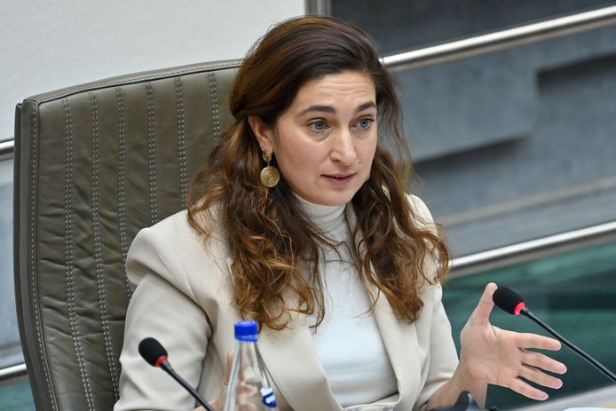 Zuhal Demir (N-VA)