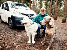 GroenLinks Baarn: uitlaatbos voor honden niet houdbaar