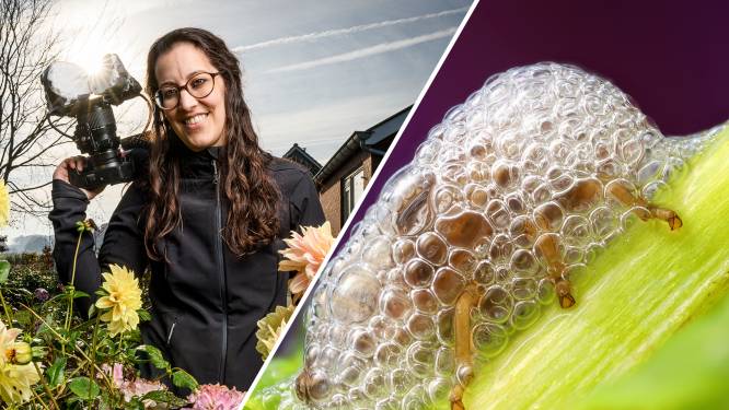 Privéschuimparty, hoe het spuugbeestje overleeft in bubbels in Twente