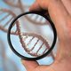 Vlaamse regering keurt oprichting afstammingscentrum en DNA-databank definitief goed