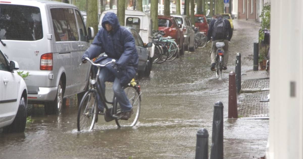 Waterschapsbelasting voor bewoners Delft en Westland omhoog met 3 procent vanwege extremer weer