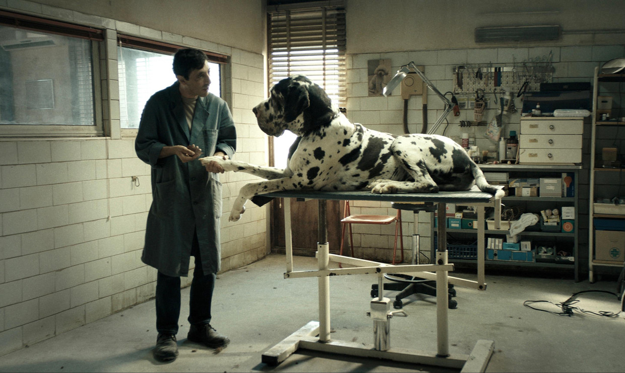 Dogman
Filmstill Beeld Dogman Filmstill