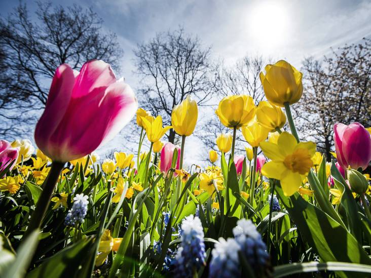 Start van de lente: wat weet jij van het seizoen?