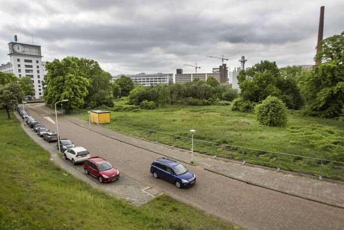 Het Gloeilampplantsoen gezien vanaf het spoor. Archieffoto Tom Valstar/fotomeulenhof