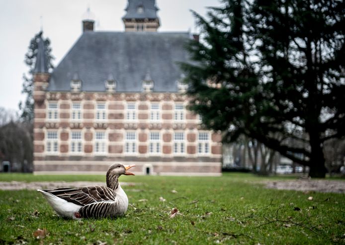 Kasteel Wijchen krijgt nu alsnog een subsidie van 1 miljoen euro van de provincie Gelderland.