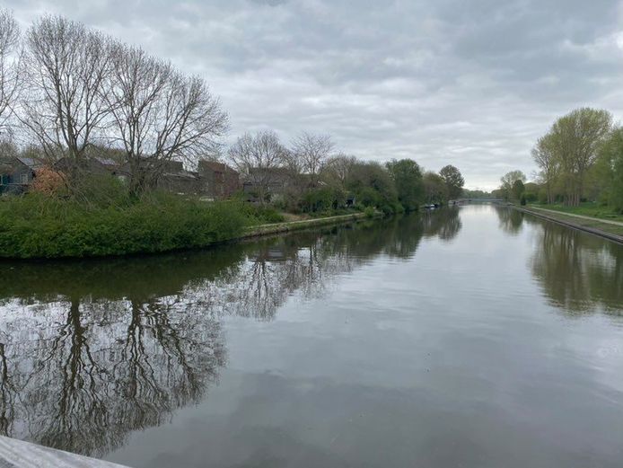 In de Lelystadse buurt Boswijk lijkt een kattenbeul actief: in de afgelopen twee weken werden op deze plek in het Gelderse diep  vier overleden dieren uit het water gehaald.