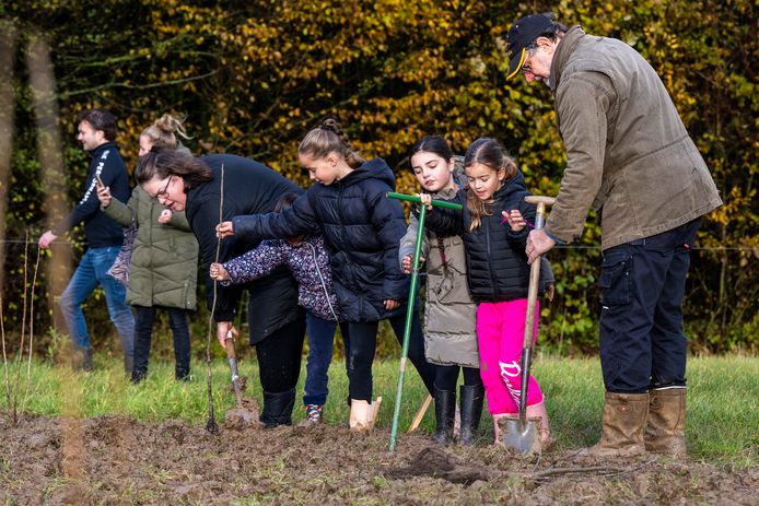 Eerste bomen Geboortebos Lingewaard geplant: ‘Omvang hangt af van ...